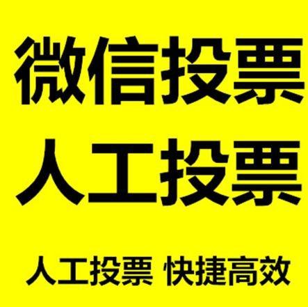 乐山市投票活动拉票能被查出来吗？如何操作能不被发现？